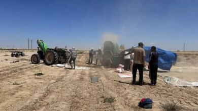 وزير الزراعة يتابع جهود "بحوث الصحراء" و "الزراعة الآلية" لحصاد القمح والشعير في شمال وجنوب سيناء