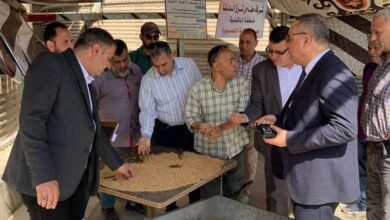 ارتفاع كميات القمح المحلي المُوردة لموسم 2025 إلى 128 الف طن حتى اليوم بالدقهلية 