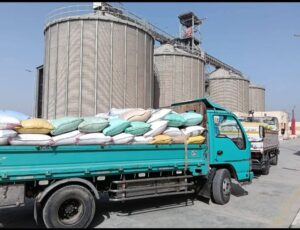 المواقع التخزينية تستقبل ٣٤٢٠٥٥ طن و ٣٣٥ كيلو جرام من الذهب الأصفر بالشرقية 