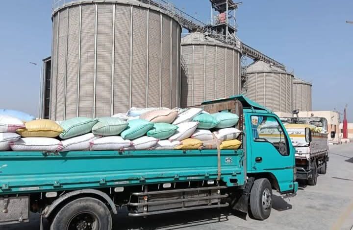 المواقع التخزينية تستقبل ٣٤٢٠٥٥ طن و ٣٣٥ كيلو جرام من الذهب الأصفر بالشرقية 