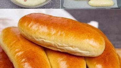 طريقة عمل العيش الفينو في البيت مطبخ الصوت