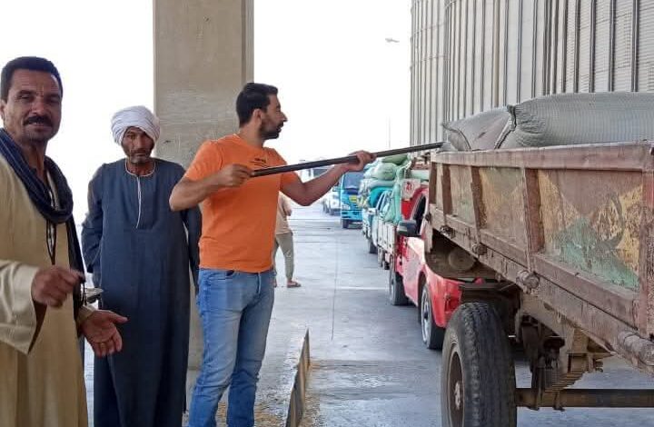 محافظ المنيا شون وصوامع المحافظة تستقبل 230 ألف طن من القمح ضمن موسم توريد 2025
