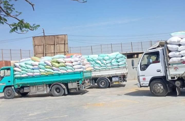 المواقع التخزينية تستقبل ٣٦٨٥٥٢ طن و ٥٨٩ كيلو من الذهب الأصفر بالشرقية 