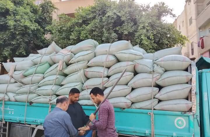 محافظ المنيا: شون وصوامع المحافظة تستقبل 249 ألف طن من القمح ضمن موسم توريد 2025 1 محافظ المنيا: شون وصوامع المحافظة تستقبل 249 ألف طن من القمح ضمن موسم توريد 2025