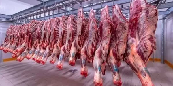 آخر مستجدات ما يحدث في أسواق عالم اللحوم بالساحة المصرية 