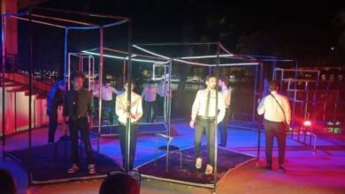 بالصور قصور الثقافة تختتم عروض التجارب النوعية للمسرح بالدقهلية