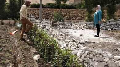 إزالة فورية للتعدى بالبناء على إلاراضى الزراعيه بمدينة قها 1 إزالة فورية للتعدى بالبناء على إلاراضى الزراعيه بمدينة قها