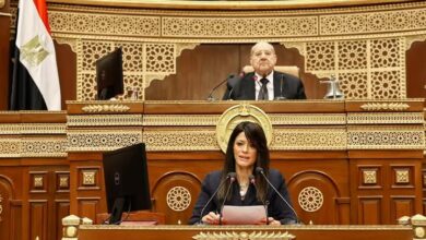 المشاط : بدأنا تصحيح المسار الاقتصادي منذ مارس 2024 بسياسات وإجراءات متكاملة 