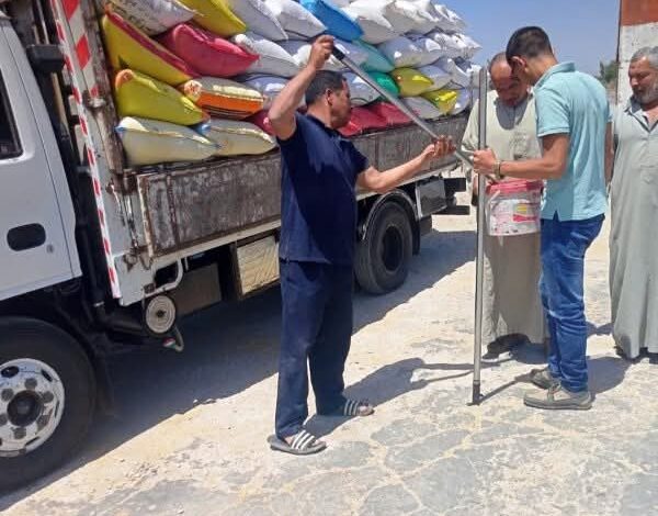 المواقع التخزينية تستقبل ٥٥٠٨٧٠ طن و ٧٨٠ كيلو من الذهب الأصفر بالشرقية 1 المواقع التخزينية تستقبل ٥٥٠٨٧٠ طن و ٧٨٠ كيلو من الذهب الأصفر بالشرقية
