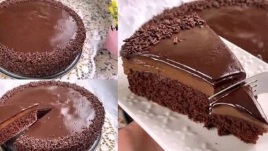 كيك شيكولاتة فاخر