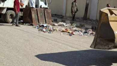 علي مدار يومين..مدينة بلبيس تشهد حملات نظافة مكبرة للإرتقاء بالشكل الحضارى والجمالي 