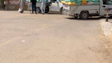 شون وصوامع محافظة الشرقية تنتهي من توريد ٥٨٢٧٣٣ طن و٤٢١ كيلو قمح محلي 