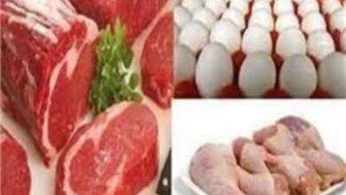 بيان يوضح أسعار اللحوم والأسماك والدواجن والبيض فى الأسواق اليوم السبت الموافق 17 مايو 2025