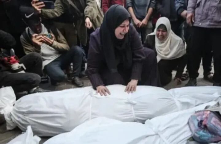 الدكتورة آلاء النجار تفقد أولادها جميعا وزوجها نتيجة القصف الصهيوني الغادر لمنزلهم بقطاع غزة 1 الدكتورة آلاء النجار تفقد أولادها جميعا وزوجها نتيجة القصف الصهيوني الغادر لمنزلهم بقطاع غزة