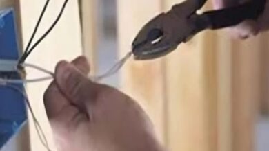  مصرع عامل صعقًا بالكهرباء داخل مصنع سكر قوص في جنوب قنا