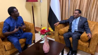  رئيس مجلس الوزراء السوداني يبحث مع حاكم إقليم دارفور عددا من القضايا الوطنية