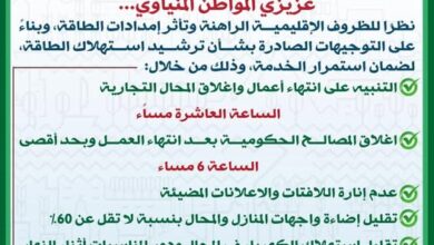 محافظ المنيا يؤكد خطة ترشيد الكهرباء مسؤولية وطنية