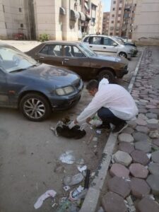 مديرية الطب البيطري تقود حملة لتحصين الكلاب الضالة ضد السعار بحي الجنوب ببورسعيد 2 مديرية الطب البيطري تقود حملة لتحصين الكلاب الضالة ضد السعار بحي الجنوب ببورسعيد