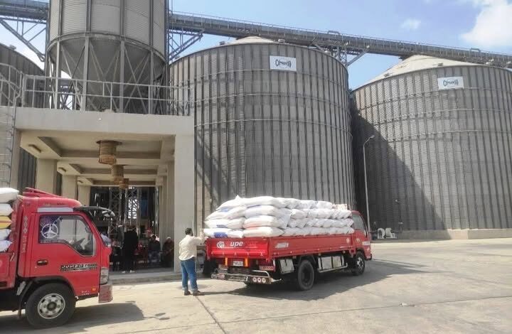 محافظ الشرقية : إنتظام سير العمل بمنظومة توريد القمح لشون وصوامع المحافظة 1 محافظ الشرقية : إنتظام سير العمل بمنظومة توريد القمح لشون وصوامع المحافظة