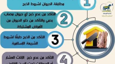 بيطرى الشرقية ينظم لجان تنسيقية بالتعاون مع جهاز شئون البيئة لمحافظتى الشرقية و الإسماعيلية