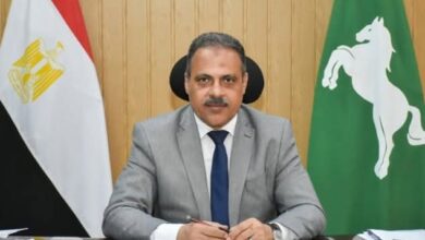 ذبح ١٤٨ رأس ماشية على مدار أيام العيد وتوزيعها على مستحقيها بالشرقية 