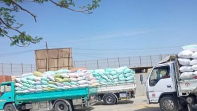 شون وصوامع محافظة الشرقية تنتهي من توريد ٥٩١٥١٩ طن و٢٨٩ كيلو قمح محلي