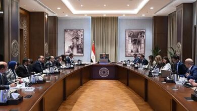 في اجتماع برئاسة رئيس الوزراء :الحكومة تجهز فرصًا استثمارية في القطاع الصحي للسنوات العشر المقبلة