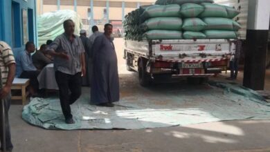 محافظ المنيا استمرار أعمال توريد القمح بتوريد 506 آلاف طن قمح منذ بدء موسم 2025
