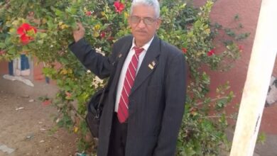 مكر وغباء 1 مكر وغباء