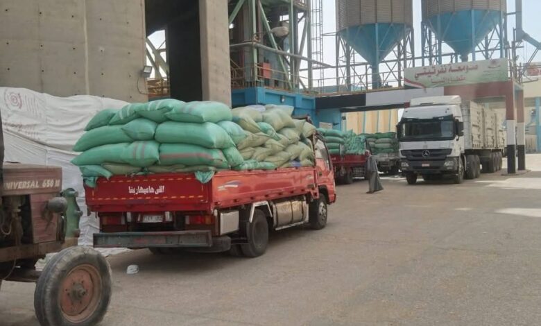 محافظ المنيا: استمرار أعمال توريد القمح اجمالي507 آلاف طن 1 محافظ المنيا: استمرار أعمال توريد القمح اجمالي507 آلاف طن