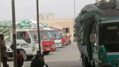 محافظ المنيا استمرار أعمال توريد القمح بتوريد 508 آلاف طن قمح منذ بدء موسم 2025
