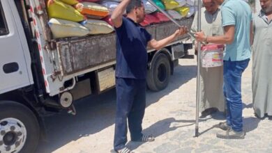 شون وصوامع محافظة الشرقية تنتهي من توريد ٥٩٨٢٥١ طن و٧٧٣ كيلو قمح محلي