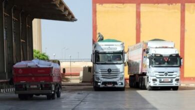 شون وصوامع محافظة الشرقية تنتهي من توريد ٥٩٨٥٤٩ طن و٧٤٩ كيلو قمح محلي 