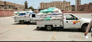 ارتفاع الكميات الموردة من القمح المحلي للمواقع التخزينية بمحافظة الشرقية