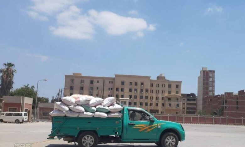 منذ بداية الحصاد...صوامع وشون الشرقية تستقبل ٥٩٩٥٥٦ طن و ٢٧٨ كيلو من الأقماح المحلية 1 منذ بداية الحصاد...صوامع وشون الشرقية تستقبل ٥٩٩٥٥٦ طن و ٢٧٨ كيلو من الأقماح المحلية