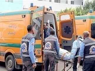 مصرع عامل إثر سقوطه من أعلى شجرة مانجو في نجع حمادي 1 مصرع عامل إثر سقوطه من أعلى شجرة مانجو في نجع حمادي