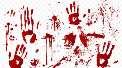 العثور على جثـة رجل سبعيني داخل شقته بطنطا