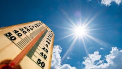 الكشف عن ازدياد عدد الأيام شديدة الحرارة وتأثيراتها الصحية والاقتصادية