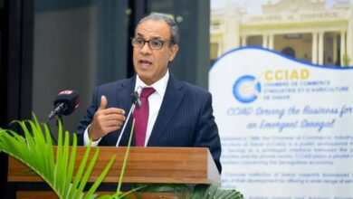 وزير الخارجية والهجرة يفتتح منتدى الأعمال المصري - السنغالي