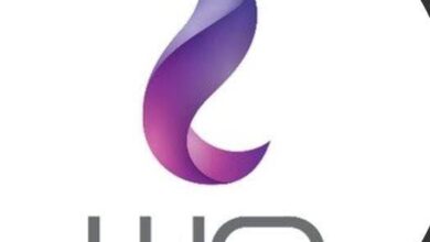 التحول إلى الألياف الضوئية: "وي" تبدأ فصل الإنترنت الأرضي عن الخطوط النحاسية