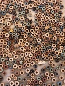 اكتشاف مقابر جديدة من العصرين اليوناني والروماني بنقوش هيروغليفية في الجبانة باسوان