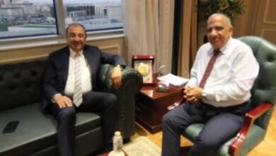 وزيرا الكهرباء وقطاع الأعمال يبحثان التعاون في مجالات تحسين كفاءة الطاقة 