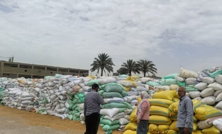 إستمرار تدفق الأقماح المحلية لشون وصوامع محافظة الشرقية 