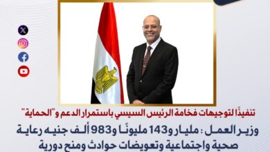 وزير العمل يعلن عن إجمالي ما تم إنفاقه من الحساب المركزي لرعاية العمالة غير المنتظمة خلال عام 