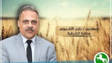 شون وصوامع محافظة الشرقية تنتهي من توريد ٦٠١٩٠٥ طن و٧٢٨ كيلو قمح محلي