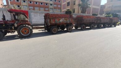 ضبط جرار مخالف بـ4 مقطورات محمل بٰ15 ألف طوب ببيلا بكفر الشيخ 