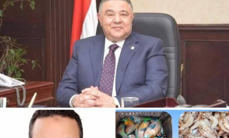 محافظ البحر الأحمر يوجه بتوفير السلع ومكافحة الآفات وتجميل المدن 1 محافظ البحر الأحمر يوجه بتوفير السلع ومكافحة الآفات وتجميل المدن