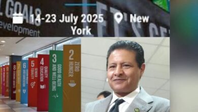 خبير دولي في المناخ: منتدى التنمية المستدامة يُطلق نداء عالميًا لتسريع العمل المناخي والاجتماعي