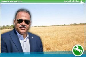 استمرار تدفق الأقماح المحلية لشون وصوامع محافظة الشرقية