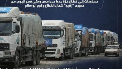 دخول 166 شاحنة مساعدات إلى غزة خلال 24 ساعة